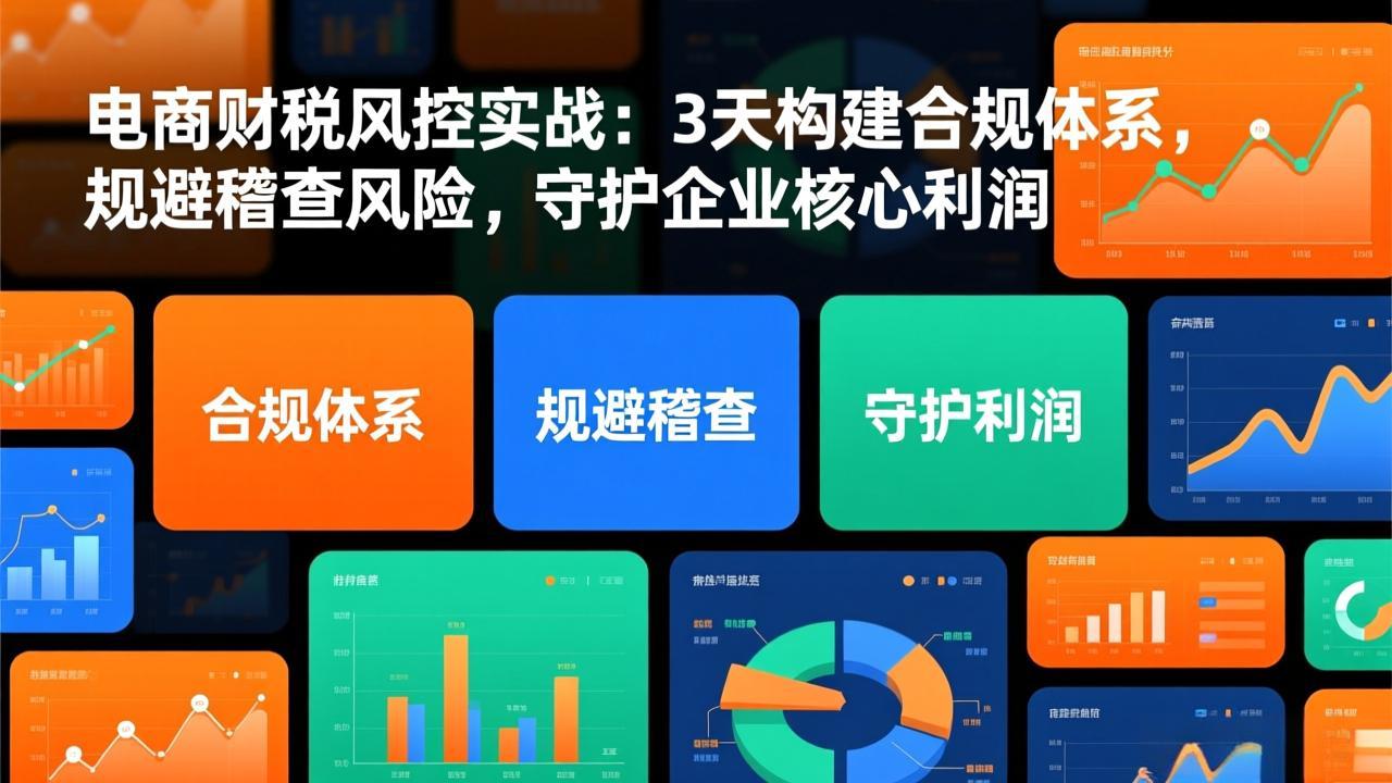 （17197期）电商财税风控实战：3天构建合规体系，规避稽查风险，守护企业核心利润-宇文网创