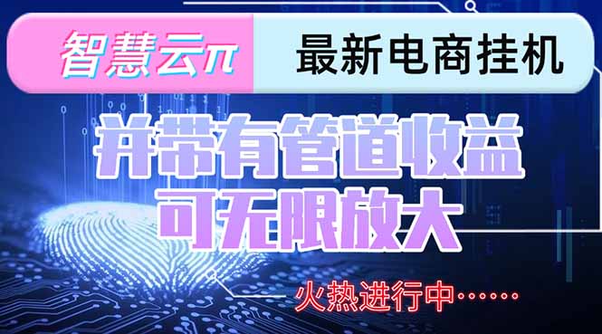 （15314期）智慧云π电脑挂机单机每天收益300—500+ 并带有团队管道收益 可无限放大-宇文网创