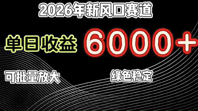 （17135期）2026年新风口赛道，当日6000+以上，可批量放大，月收入20万+，长期绿色稳定的项目-宇文网创