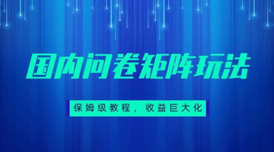 保姆级教程，国内问卷矩阵玩法，轻松赚收益-宇文网创