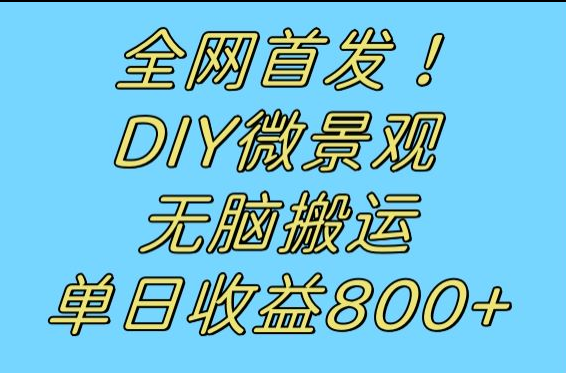 全网首发冷门赛道！DIY微景观，无脑搬运视频，日收益800+-宇文网创
