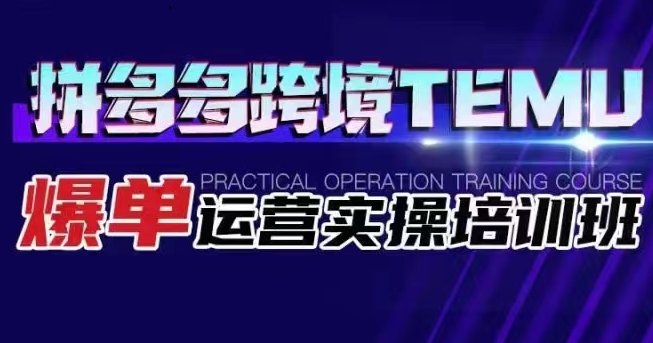 拼多多跨境TEMU爆单运营实操培训班 海外拼多多的选品、运营、爆单-宇文网创
