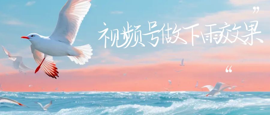 视频号做下雨视频，一个账号一周涨粉10W+，日入1000+附保姆级教程-宇文网创