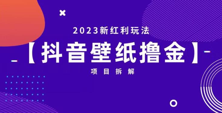 抖音壁纸小程序创作者撸金项目，2023新红利玩法【项目拆解】-宇文网创