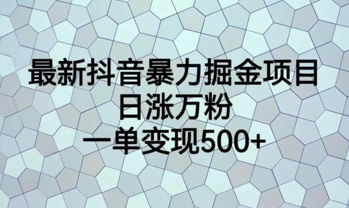 最新抖音暴力掘金项目，日涨万粉，一单变现500+【揭秘】-宇文网创