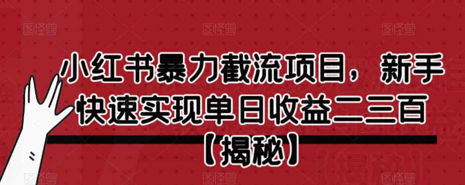 小红书暴力截流项目，新手快速实现单日收益二三百【仅揭秘】-宇文网创