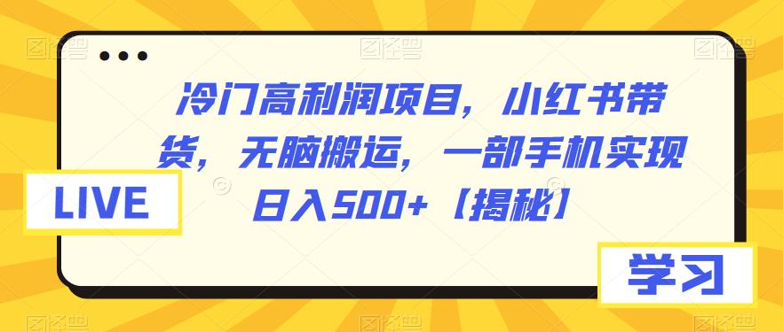 冷门高利润项目，小红书带货，无脑搬运，一部手机实现日入500+【揭秘】-宇文网创