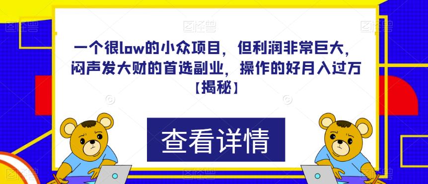 一个很low的小众项目，但利润非常巨大，闷声发大财的首选副业，操作的好月入过万【揭秘】-宇文网创