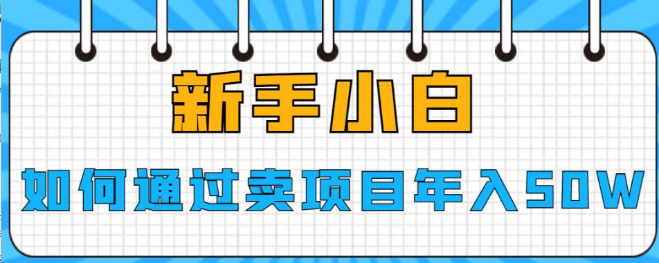 新手小白如何通过卖项目年入50W【揭秘】-宇文网创