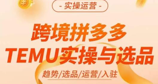 伍跃·跨境拼多多TEMU实操与选品，​趋势/选品/运营/入住（27节完整）-宇文网创