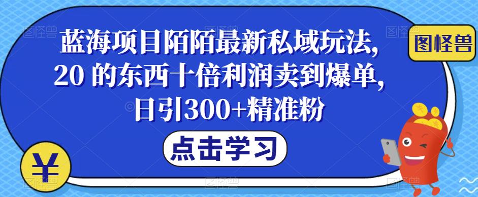 蓝海项目陌陌最新私域玩法，20 的东西十倍利润卖到爆单，日引300+精准粉【揭秘】-宇文网创
