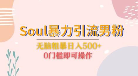 Soul暴力引流男粉玩法，无脑粗暴日入500＋，0门槛即可操作【揭秘】-宇文网创