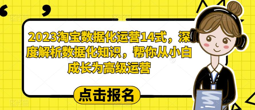 2023淘宝数据化运营14式，深度解析数据化知识，帮你从小白成长为高级运营-宇文网创