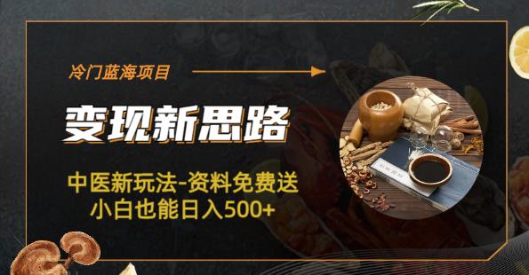 冷门蓝海项目-中医新玩法-资料免费送小白也能日入500+【揭秘】-宇文网创