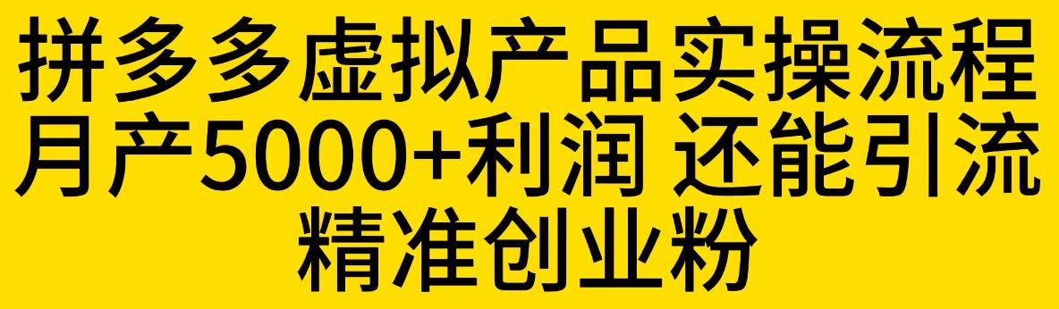 拼多多虚拟产品实操流程，月产5000+利润，还能引流精准创业粉【揭秘】-宇文网创