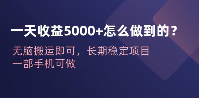 一天收益5000+怎么做到的？无脑搬运即可，长期稳定项目，一部手机可做【揭秘】-宇文网创