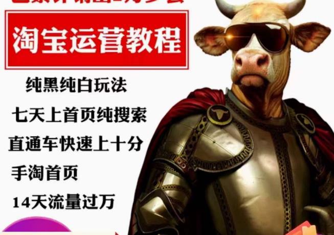 猫老师·淘系算法逆向解密，​纯黑纯白玩法，七天上首页纯搜索，手淘首页14天流量过万-宇文网创