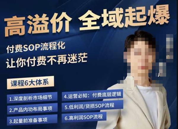 逸风-拼多多高溢价全域起爆，6大课程体系，付费玩法全套实操-宇文网创