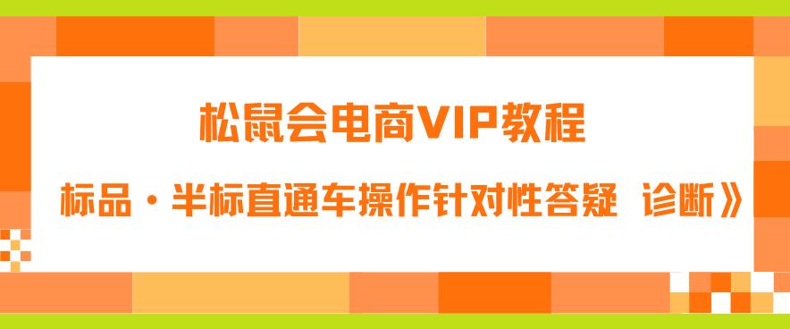 松鼠会电商VIP教程：松鼠《付费推广标品·半标直通车操作针对性答疑&诊断》-宇文网创