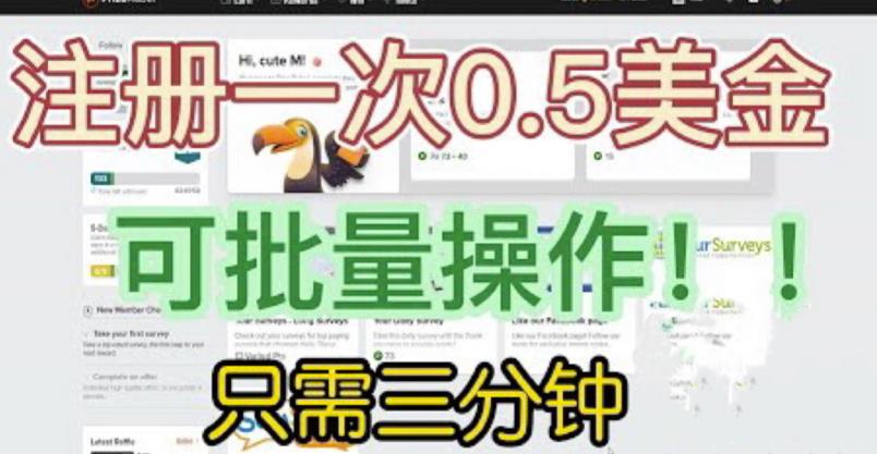 国外项目注册一次0.5美金，只需三分钟无脑操作，可批量同时放大操作，小白工作室福利【揭秘】-宇文网创