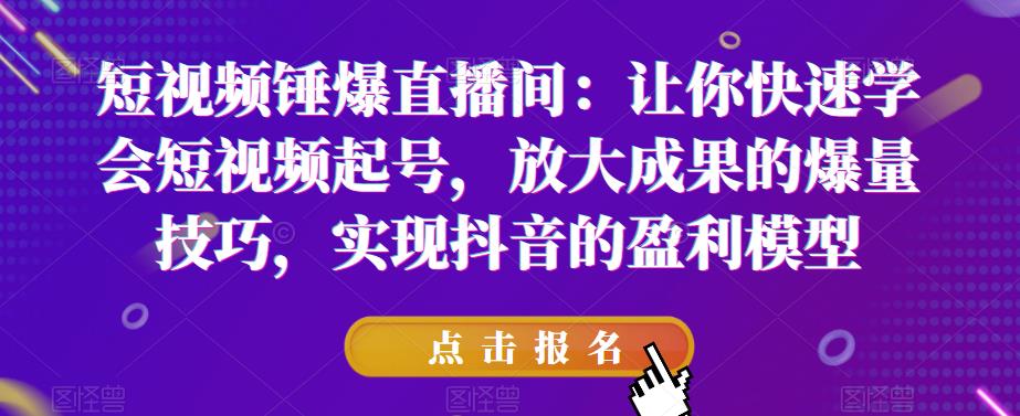 短视频锤爆直播间：让你快速学会短视频起号，放大成果的爆量技巧，实现抖音的盈利模型-宇文网创