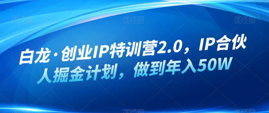 白龙·创业IP特训营2.0，IP合伙人掘金计划，做到年入50W-宇文网创