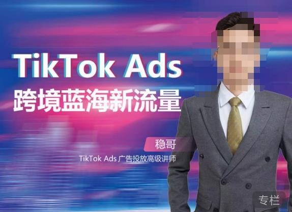 稳哥·如何投出高ROI的TikTok广告，开拓独立站卖家流量新蓝海-宇文网创