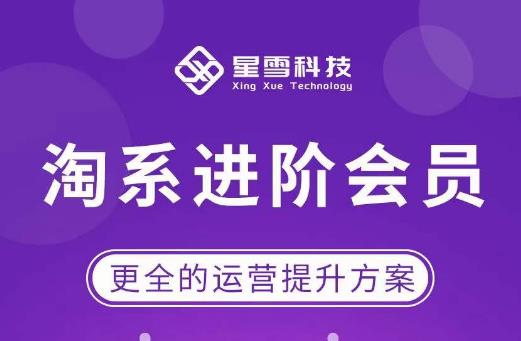 星雪·淘系进阶课程，快速提升突破技能流量瓶颈必备（更新2023年5月）-宇文网创