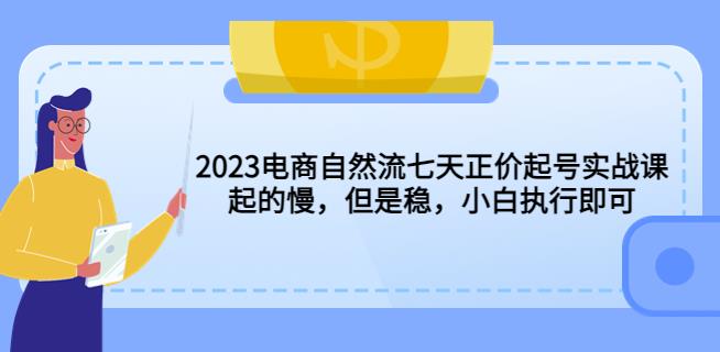 2023电商自然流七天正价起号实战课：起的慢，但是稳，小白执行即可！-宇文网创