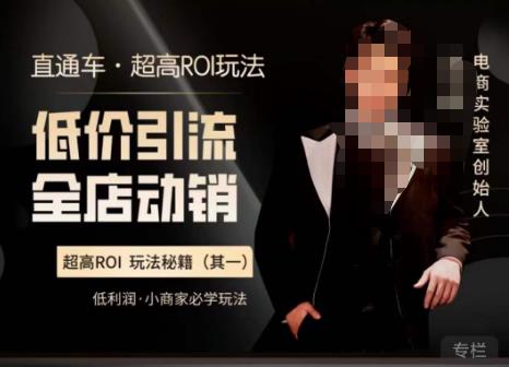 电商冰可乐·直通车·《低价引流·全店动销》，直通车·超高ROI玩法（其一）全店动销必学玩法-宇文网创