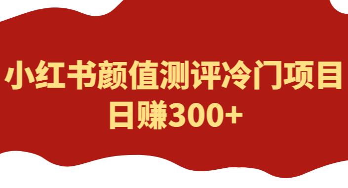 外面1980的项目,小红书颜值测评冷门项目,日赚300+【揭秘】-宇文网创