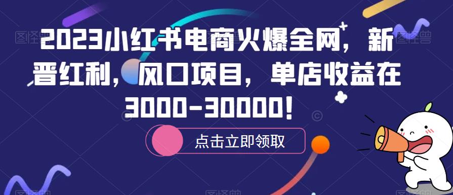 2023小红书电商火爆全网，新晋红利，风口项目，单店收益在3000-30000！-宇文网创
