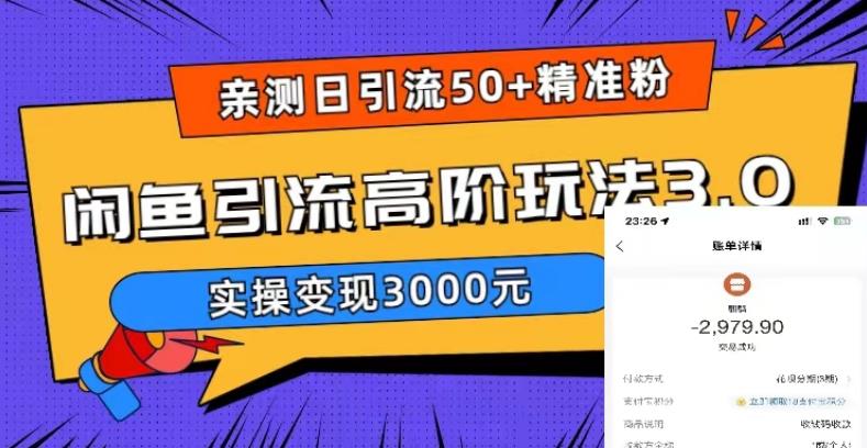 亲测日引50+精准粉,闲鱼引流高阶玩法3.0,实操变现3000元【揭秘】-宇文网创