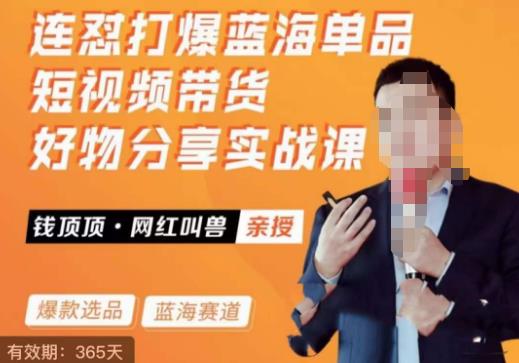 网红叫兽·连怼打爆蓝海单品，短视频带货好物分享实战课-宇文网创