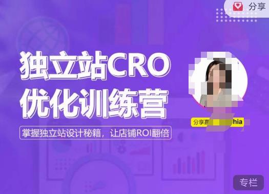 独立站CRO优化训练营，掌握独立站设计秘籍，打造高转化的独立站，让店铺ROI翻倍-宇文网创