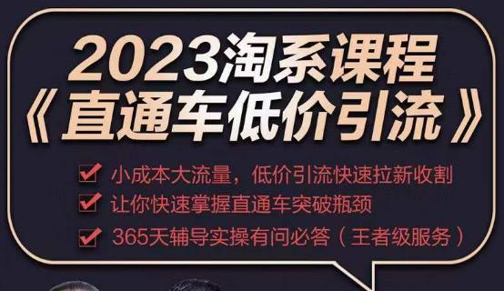 2023直通车低价引流玩法课程，小成本大流量，低价引流快速拉新收割，让你快速掌握直通车突破瓶颈-宇文网创
