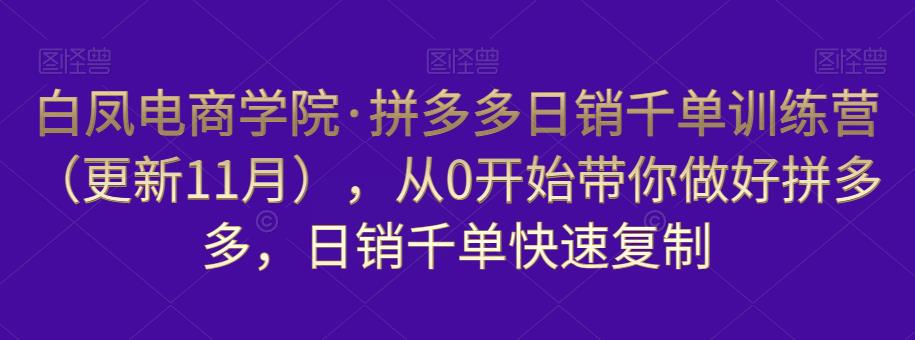 白凤电商学院·拼多多日销千单训练营，从0开始带你做好拼多多，日销千单快速复制（更新知2023年3月）-宇文网创