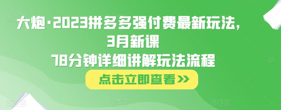 大炮·2023拼多多强付费最新玩法，3月新课​78分钟详细讲解玩法流程-宇文网创
