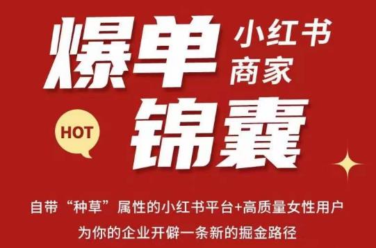 无畏·小红书商家爆单锦囊,掌握小红书各大规则,快速精准抢占行业和市场-宇文网创