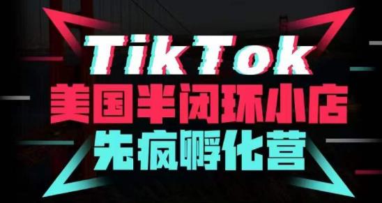 疯人院·TikTok美国半闭环小店孵化营，抢占TikTok美国蓝海市场，开店、运营、带货、投流全实操-宇文网创