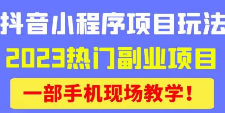 抖音小程序9.0新技巧，2023热门副业项目，动动手指轻松变现-宇文网创