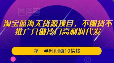 淘宝蓝海无货源项目，不囤货不推广只做冷门高利润代发，花一半时间赚10倍钱-宇文网创