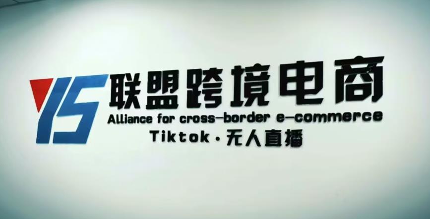 YS联盟·Tiktok无人直播，不出镜不剪辑不拍摄不发货无售后的跨境短视频躺赚玩法-宇文网创