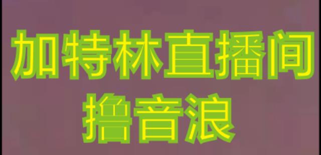 抖音加特林直播间搭建技术,抖音0粉开播,暴力撸音浪,2023新口子,每天800+【素材+详细教程】-宇文网创