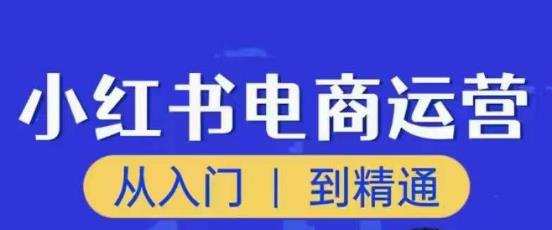 顽石小红书电商高阶运营课程，从入门到精通，玩法流程持续更新-宇文网创