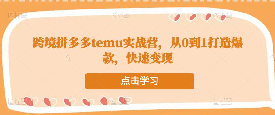 跨境拼多多temu实战营，从0到1打造爆款，快速变现-宇文网创