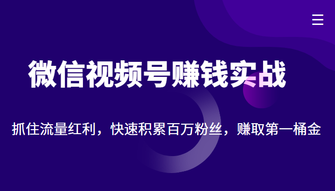 微信视频号赚钱实战：抓住流量红利，快速积累百万粉丝，赚取你的第一桶金-宇文网创