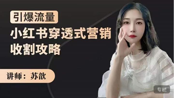 苏歆：小红书穿透式营销收割攻略，引爆流量，助你玩转小红书-宇文网创