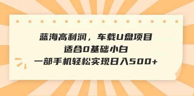 蓝海高利润，车载U盘项目，适合0基础小白，一部手机轻松实现日入500+-宇文网创