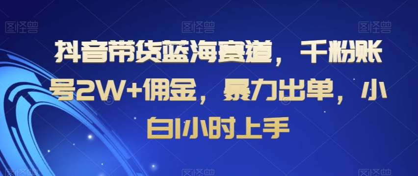 抖音带货蓝海赛道，千粉账号2W+佣金，暴力出单，小白1小时上手【揭秘】-宇文网创
